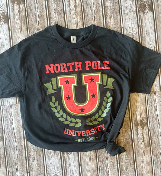 North Pole University